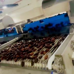 Best High Efficiency Industrial Dates Processing Dates Sorting Machine with AI-Powered 6/8 Lanes 8 Outlets Models wholesale