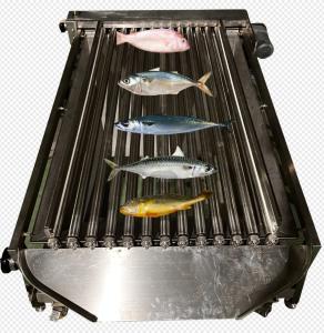 High Quality PLC Control Fish Grading Line For Sorting Small Fish With Automatic
