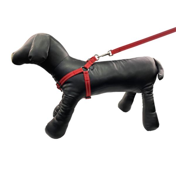 Custom Luxury Logo Dog Harness Lead Set Green Retractable Dog Leash