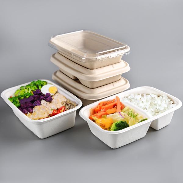 Cheap Bagasse Fiber Biodegradable Containers With Lids For Takeout Parties for sale