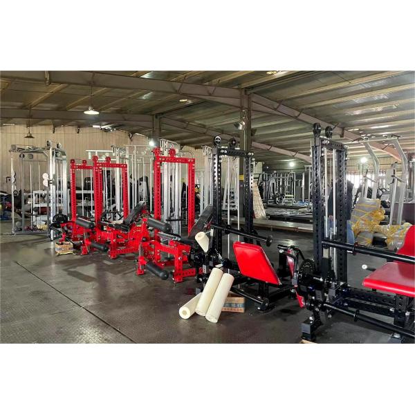 Gym Equipment Dual Function Quads Calf Workout Seated Leg Curl Extension