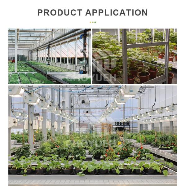 Hydroponic EBB And Flow Tray Grow Table System Agriculture Nursery Planting Flood Table ABSTray Rolling Bench Tray