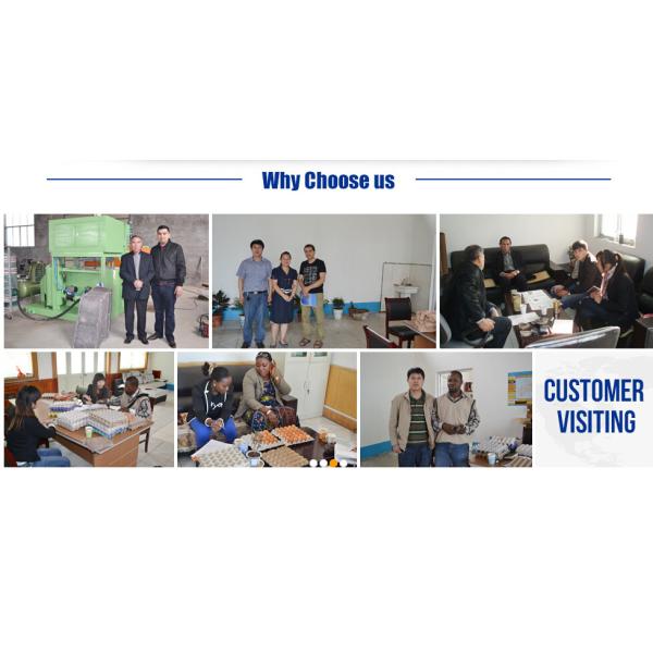 PLC Control Automatic Apple Tray Making Machine 3000*2000*1800mm