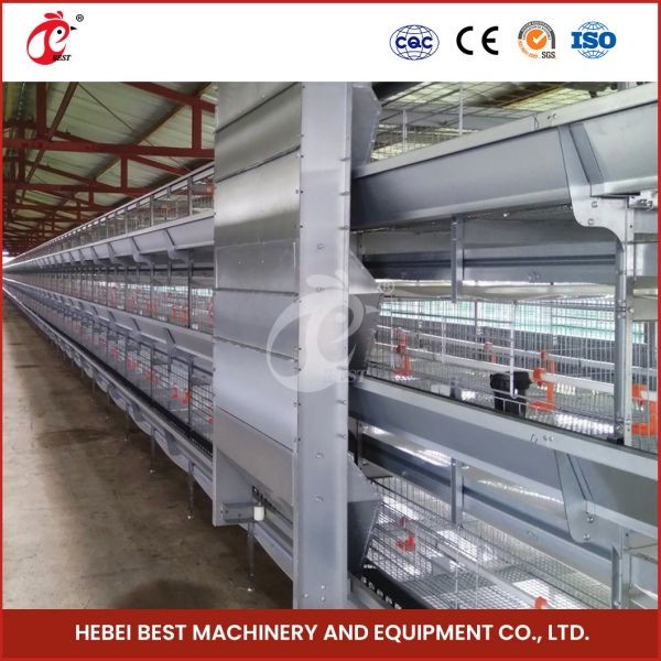 380V 5 Tier Automatic Chicken Layer Cage Equipment for Laying Eggs Ada