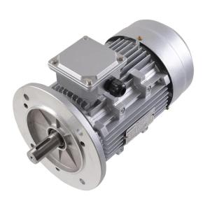 Best 3 Phase Asynchronous Electric Motor wholesale