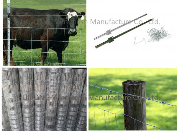 CE 100m Hinge Joint Wire Mesh , Durable Electro Galvanized Cattle Fence Roll