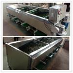 mushroom sorting machine,mushroom grading machine,walnut sorting machine,walnut