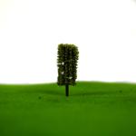 2017 New palm tree, model tree for train layout, plastic tree, scale model tree