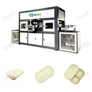Best Biodegradable Pulp Molding Tableware Machine Disposable Dish Line wholesale
