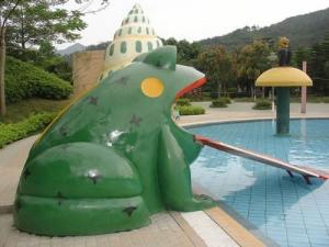 Best Frog Water Slide Kids Water Playground Equipment For Swimming Pool wholesale