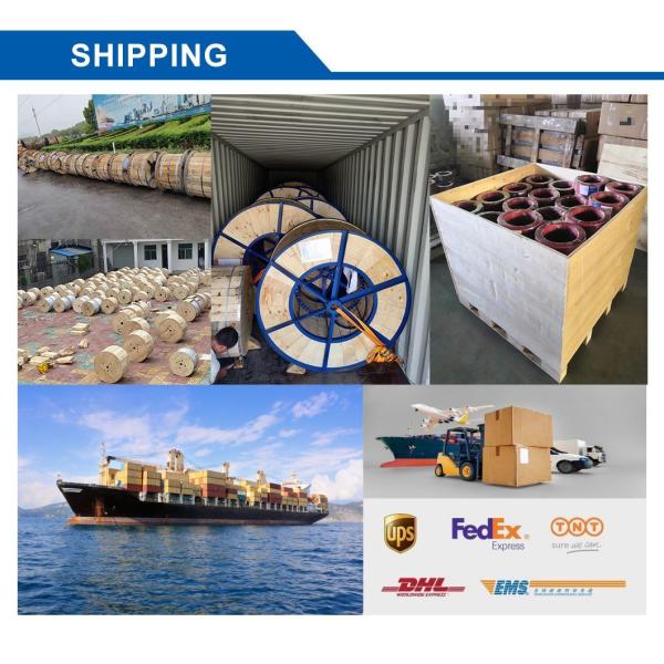 Robust Bare Conductor for Long Lasting Power Supply