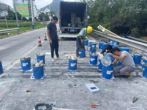 Cheap Real-time Data Acquisition Vehicle Detection System With Speed Capabilities And System Speed Of 0.5-105km/h for sale