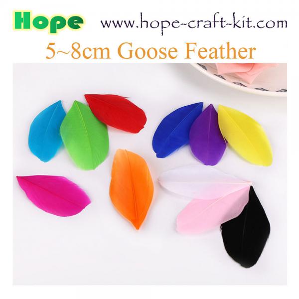 Cheap Various size of goose feathers, turkey feathers, chicken feathers, peacock , ostrich feathers for hobbies and kids DIY for sale