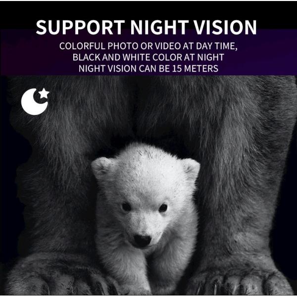 16pcs IR LED Hunting Trail Camera 32MP 60 Degree PIR Sending Angle Waterproof 4K / 10fps