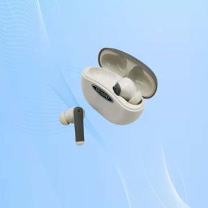 Best Rechargeable Digital Hearing Aids With Automatic Noise Cancellation wholesale