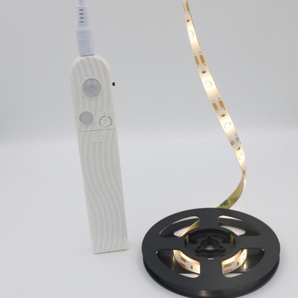 SMD2835 DC12V 3M Battery Powered LED Strip Light