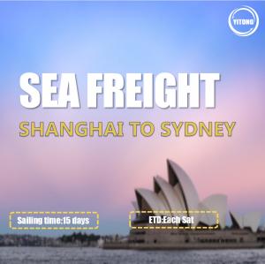 China WIFFA China To Australia Sea Freight Services From Shanghai To Sydney Each Sat on sale
