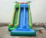 Commercial Grade Inflatable Pool Slide with Palm Trees