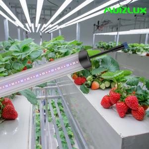 China Strawberry Bar Style LED Grow Lights 70W Led Grow Lamp Energy Efficient on sale