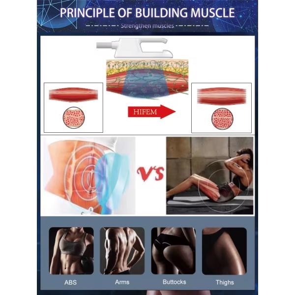 7 Tesla EMS Sculpting Machine 2800W Electromagnetic Muscle Stimulation Machine