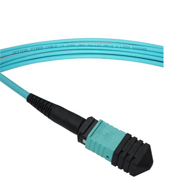 Professional Manufacturer 1 meter 12 cores Fiber Optic Patchcord OM3-300 female MPO fiber optic patchcord