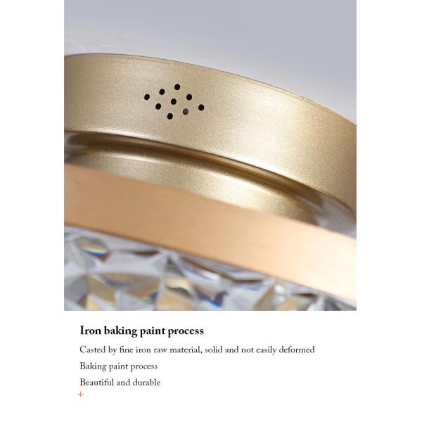 Modern Ceiling Lights Fans Lamp LED Remote Control Changeable Adjustable Indoor Home Decoration Living Dining Room 30W