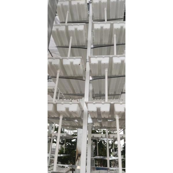 Vertical Farming Hanging Plant Hydroponic Intelligence Farming