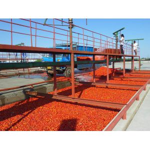 Best Commercial 380V Tomato Processing Line / Tomato Puree Processing Plant wholesale