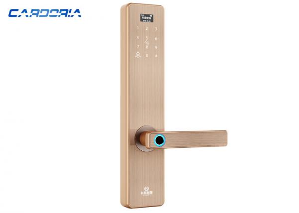 Cheap High Reliability Fingerprint Smart Door Lock , Outdoor Digital Keypad Door Lock for sale