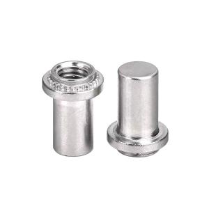 China High-quality Weld Nuts With Projection Points Carbon Steel M0.5-M3 For Permanent Attachment To Metal Structures Rivet Nuts on sale