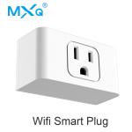 Alexa Compatible US Plug Socket With Led Night Light Pre - Set Times Automatical