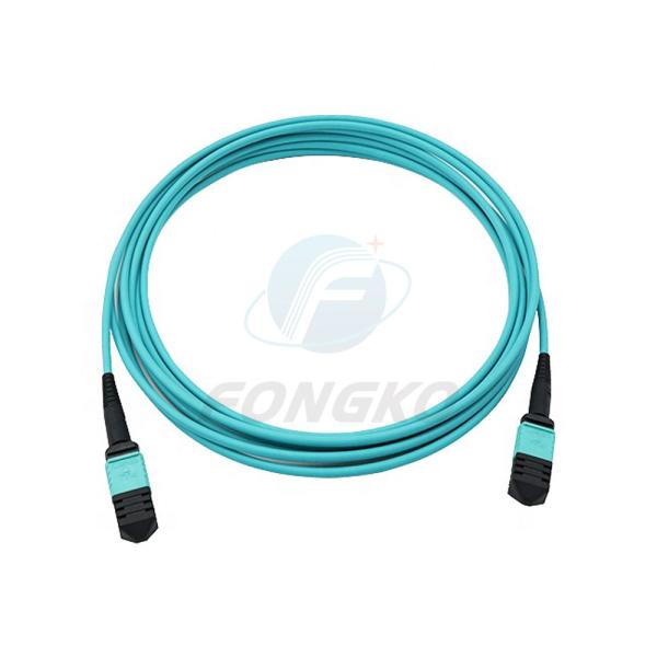 Professional Manufacturer 1 meter 12 cores Fiber Optic Patchcord OM3-300 female MPO fiber optic patchcord