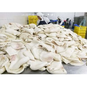 Best Boiled Frozen Squid Tubes Fillet Bqf Darumar Thickness 6mm - 12mm wholesale