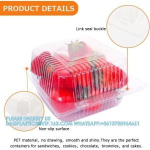 Square Hinged Food Container,Plastic Take Out Containers,Disposable Clamshell