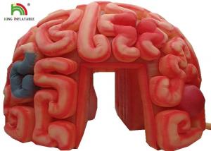 China Giant 4m  Inflatable Brain Replica Artificial Organs For Educational SGS EN71 on sale