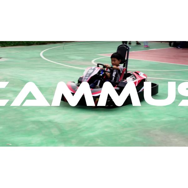 175Kg Fast Track 2 Seater Go Kart For Adults 2010*1550*590 Mm