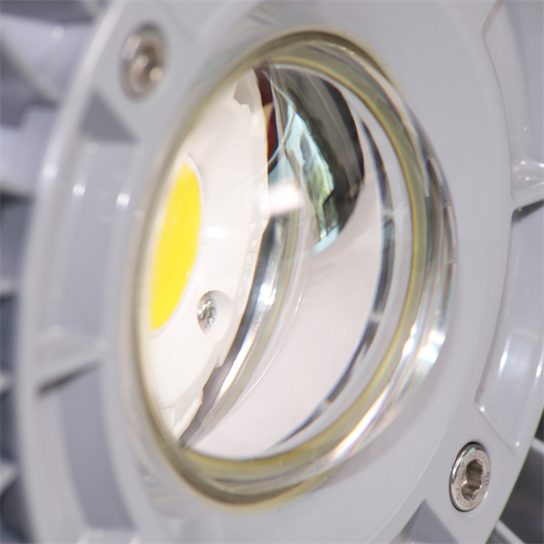 IP66 LED Explosion Proof Lights 20W Maintenance free
