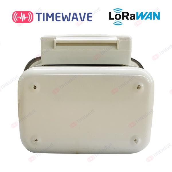 LoRaWAN Smart Gas Meter Secure Gas Consumption Meter Lithium Battery