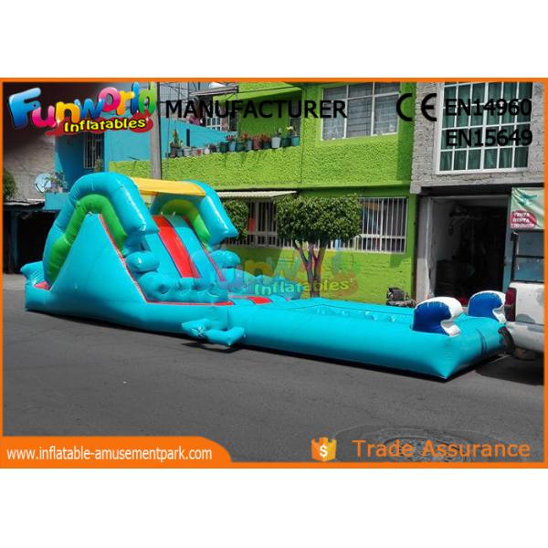Attractive Blue Cartoon Outdoor Inflatable Water Slides For Kids and Adults