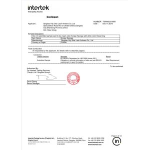 Qingdao Hiju Star Lash Artware Co., Ltd Certifications