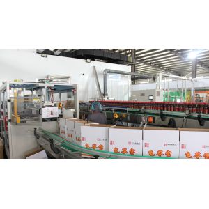 Imported AROL Capping SS316 Fruit Juice Aseptic Filling Machine