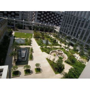 Chinowing Technology Co., Ltd