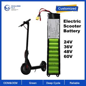 Best OEM ODM LiFePO4 lithium battery pack Electric Scooter battery 24V 36V 48V for Electric Bicycles/Scooter wholesale
