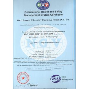 Eternal Bliss Alloy Casting & Forging Co.,LTD. Certifications
