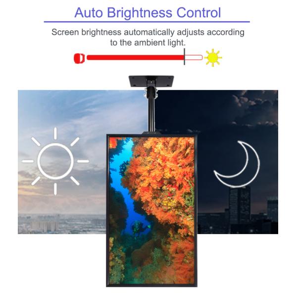 Commercial-Grade LCD window display Build-in fan cooling system 43/55/65 inch