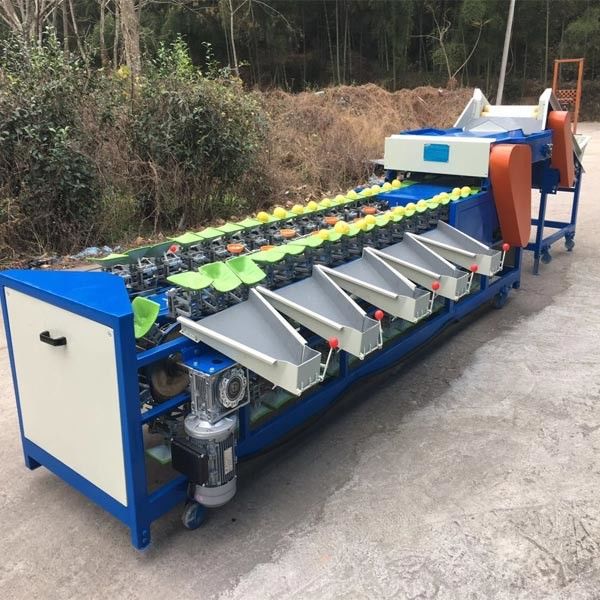 Raisin Cleaning Tomato Apple Cherry Blueberry Sorting Machine