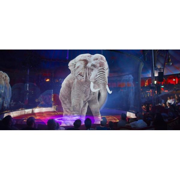 Transparent Gauze 3D Hologram Projection Pepperscrim