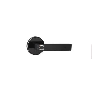 Best Semiconductor Fingerprint Biological Discern Black Door Handle Lock wholesale