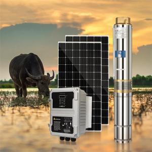 China 380V 4KW 17m3/H 150M 4inch Borehole Solar Submersible Water Pump With Panels on sale