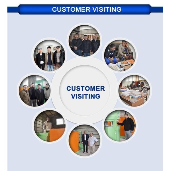 PLC Control Automatic Apple Tray Making Machine 3000*2000*1800mm